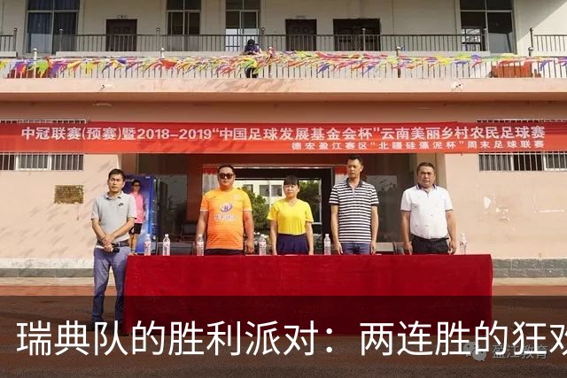 瑞典队的胜利派对：两连胜的狂欢与挑战