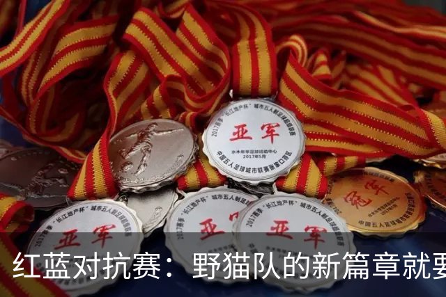 红蓝对抗赛：野猫队的新篇章就要翻开啦！