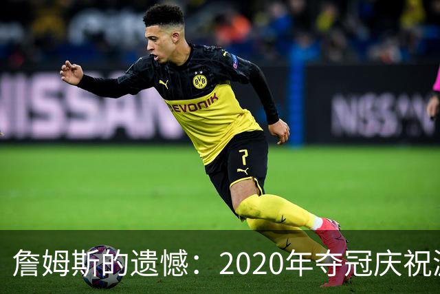 詹姆斯的遗憾：2020年夺冠庆祝游行没能成行